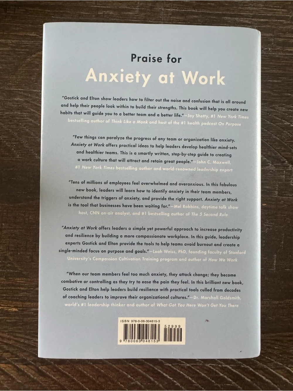 Anxiety at Work by Adrian Gostick & Chester Elton